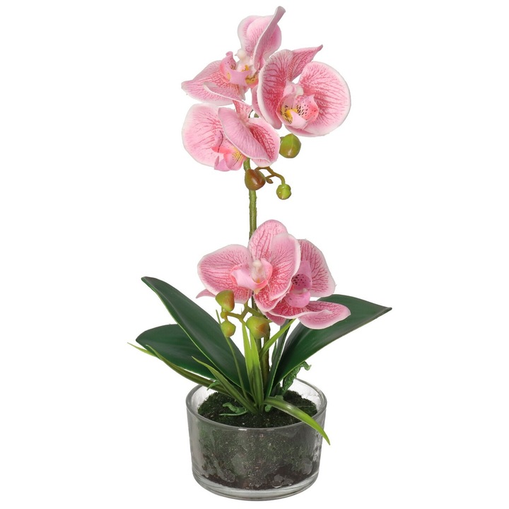 Orhidee artificiala in ghiveci, Top Gift, 35cm, sticla, multicolor