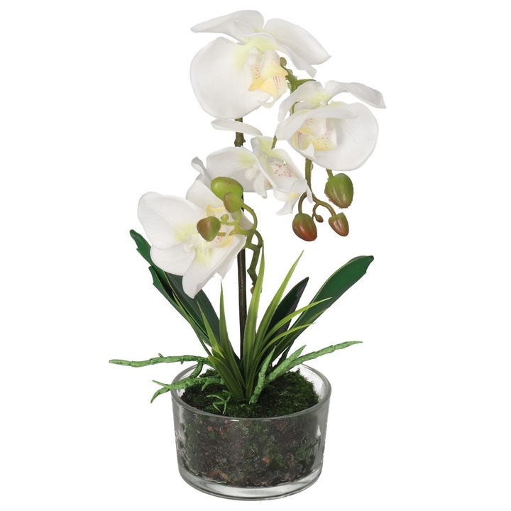 Orhidee artificiala in ghiveci, Top Gift, 35cm, sticla, multicolor