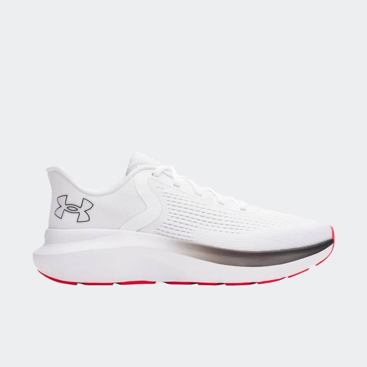 Pantofi sport barbati Under Armour Charged Rogue, mesh, multicolor