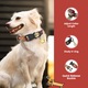 PawView® Zgarda pentru Caini cu Cod QR Personalizat(Dog ID Tag) Rosu L (25mm x 41–66cm), Reglabila si Rezistenta, Disponibil S/M/L