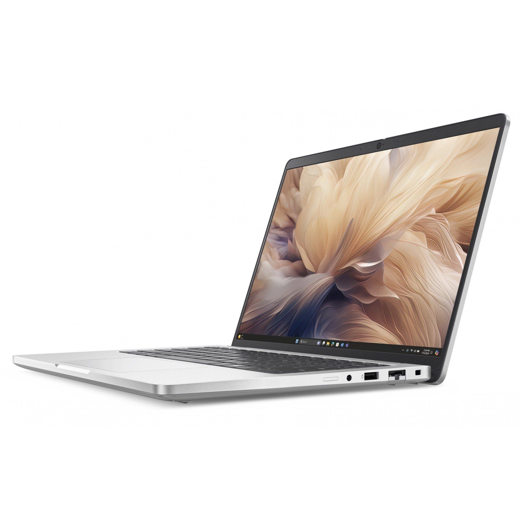 Laptop Dell Pro 14 Plus PB14250, 14 inch 1920 x 1200, Intel 238V 8 C / 8 T, 2.1 GHz - 4.7 GHz, 8 MB cache, 32 GB LPDDR5X, 512 GB SSD, Intel Arc Graphics, Windows 11 Pro