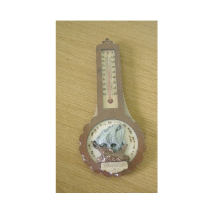 Termometru Meteo Expo, 27x11cm