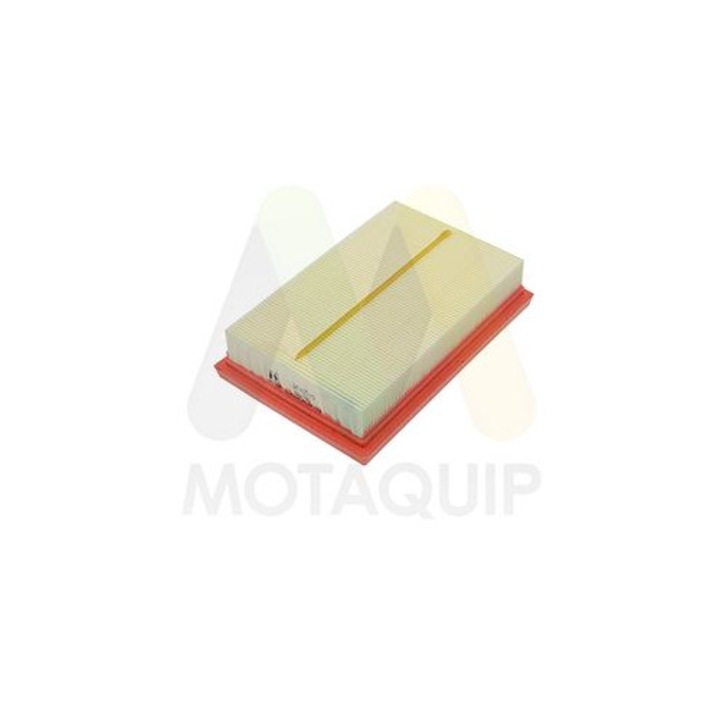 Filtru aer MOTAQUIP LVFA1539