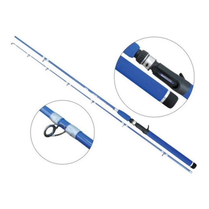 Baracuda Blue Bird 2102 karbon bot