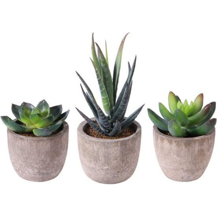 Set 3 plante suculente artificiale Haiaveng, cu ghivece, gri/verde