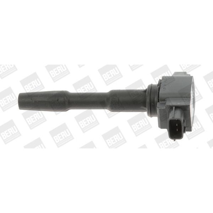 BorgWarner (BERU) ZSE131 gyújtótekercs