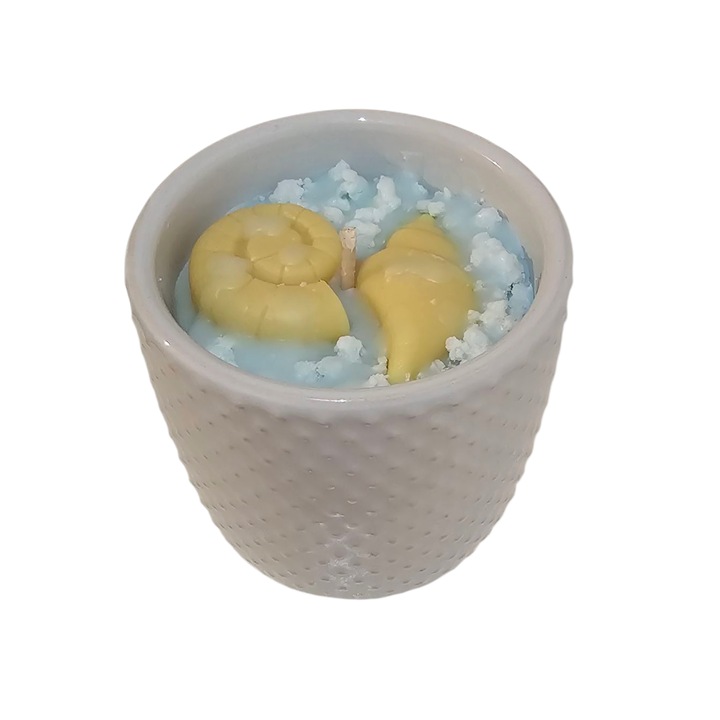 Lumanare parfumata din ceara de soia, Flamelle Atelier, Ocean, handmade, 130 g