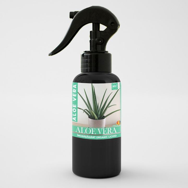 bogenhanf kaufen 100 cm Große Sansevieria kaufen – Green Me Up main image 1