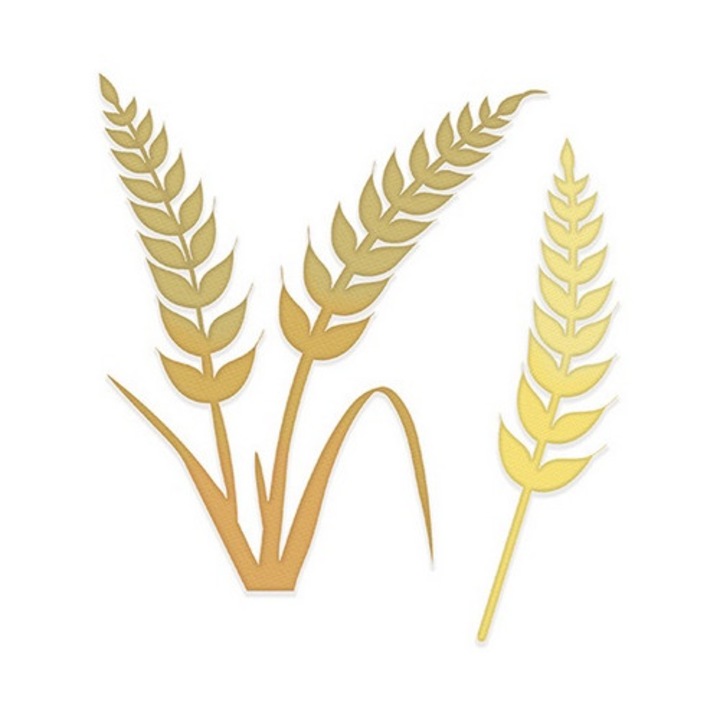 Matrita DPCRAFT SIZZIX cu spice de grau, 2 buc., JCMA-232