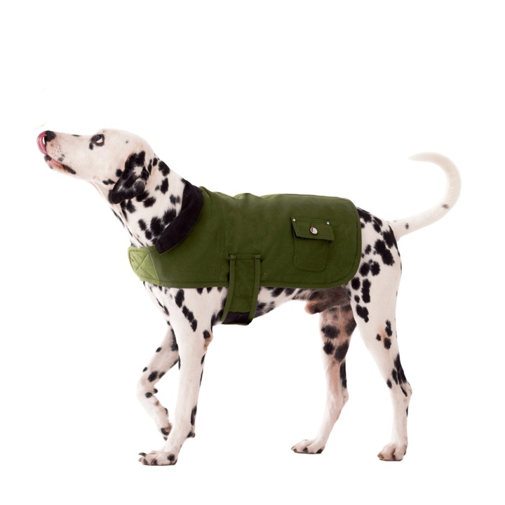 Ohmopie Geaca Calduroasa de Iarna pentru Caini – Haina din Panza Groasa pentru Rase Mici, Medii si Mari cu Inchidere cu Arici, Verde, M