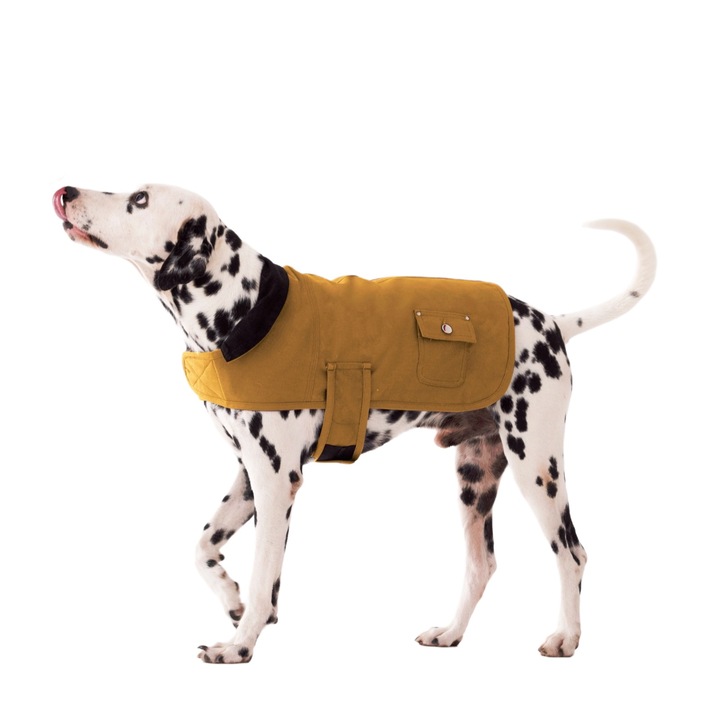 Ohmopie Geaca Calduroasa de Iarna pentru Caini – Haina din Panza Groasa pentru Rase Mici, Medii si Mari cu Inchidere cu Arici, Maro, S