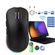 Mouse Gaming si Office Fbirddek® 518F, Wireless/Dual Bluetooth /Cu fir, Conectare La 3 Dispozitive Simultan, 6 butoane, Soft Customizare Butoane, RGB Led, 500mAh, USB-C, Ergonomic, Reglabil 4800 DPI, Piedici pentru mouse, Win/MacOS, Negru