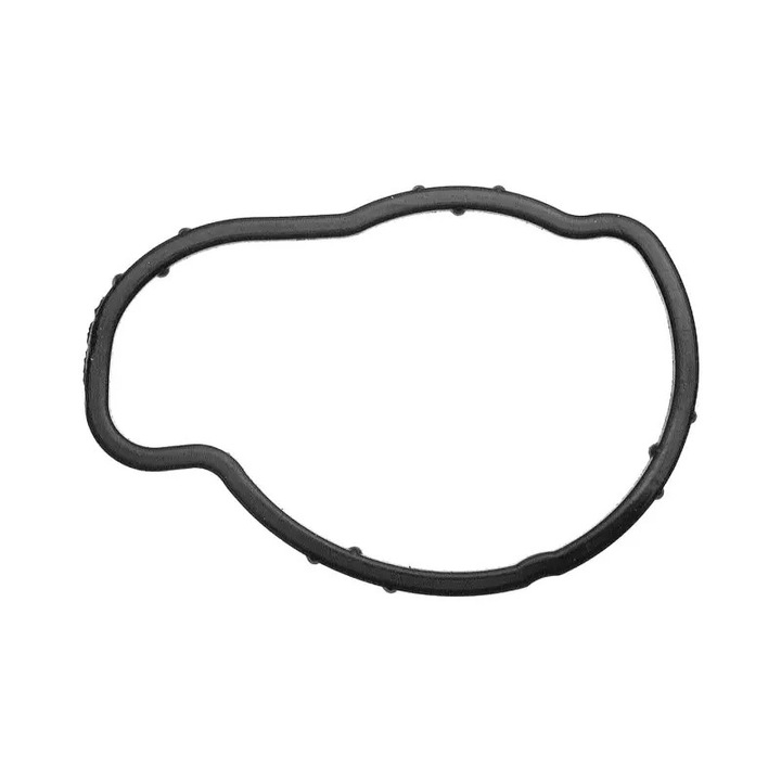 Garnitura termostat FACET 79673