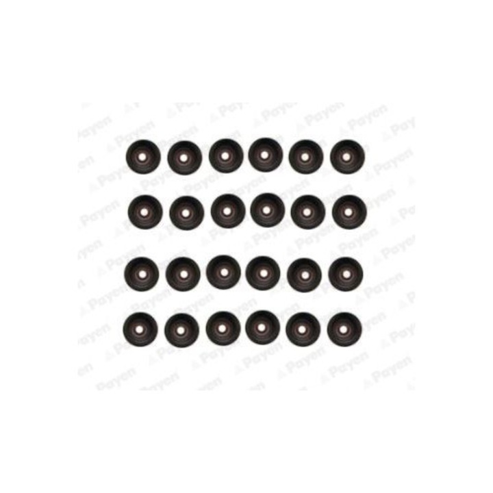 Set garnituri, ax supape PAYEN HR5107