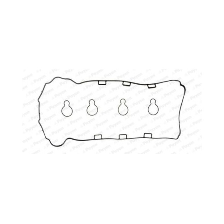 Set garnituri, Capac supape PAYEN HM5370