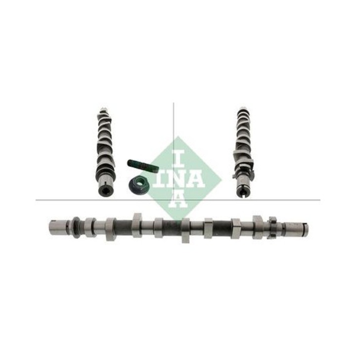 Ax cu came Schaeffler INA 428025210