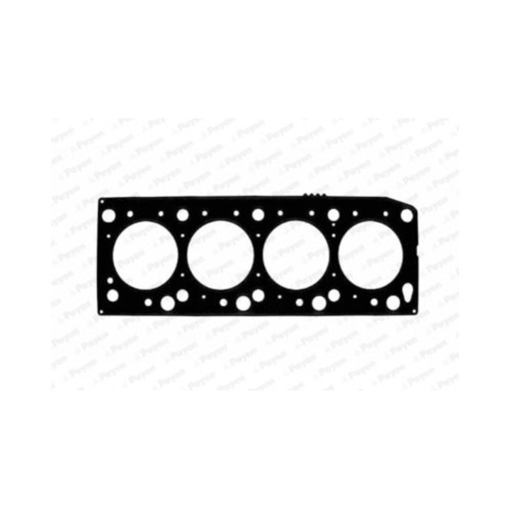 Garnitura, chiulasa PAYEN AB5320