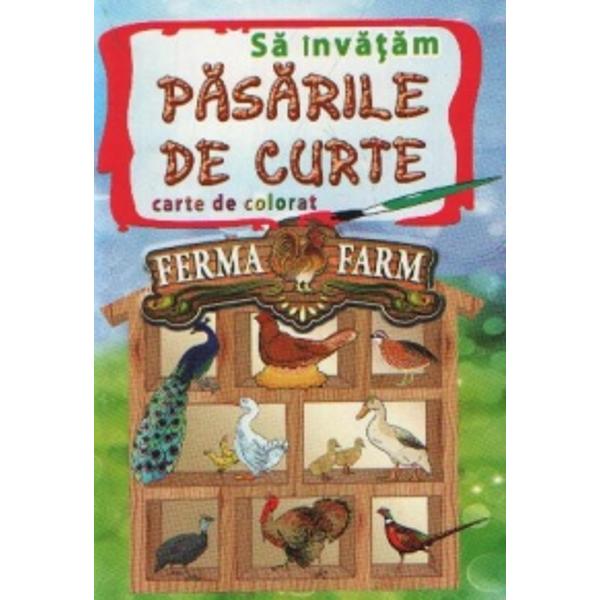 Sa Invatam Pasarile De Curte - Carte De Colorat