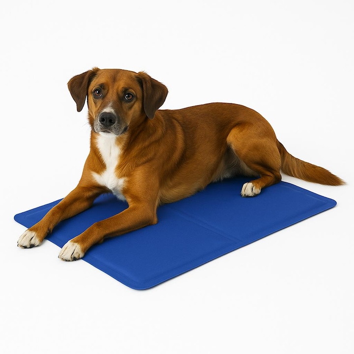 Covoras de racire pentru animale de companie, Impermeabil, 40 x 50cm, Albastru marin