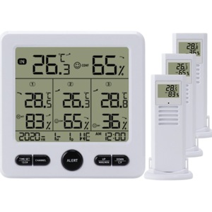 Termometre Meteo