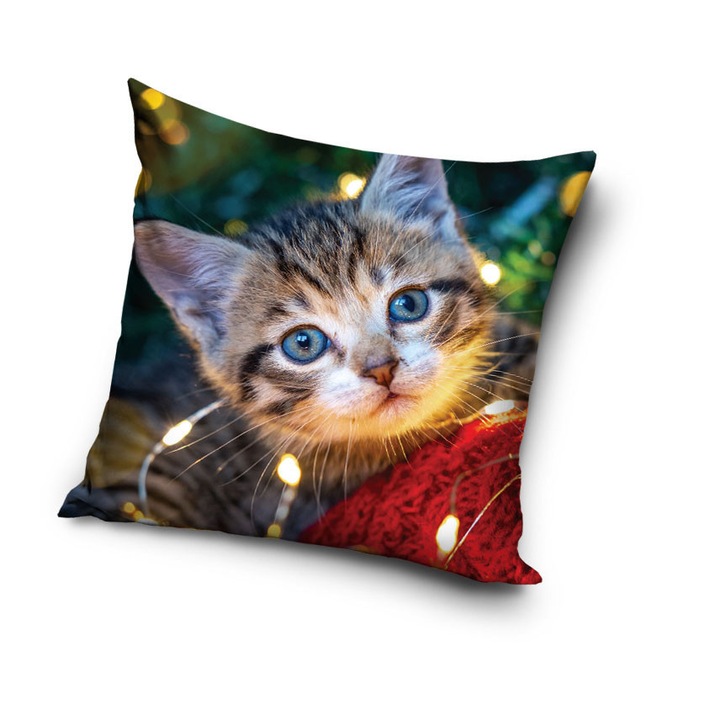 Cicás Cozy Lights párnahuzat 40x40 cm Velúr