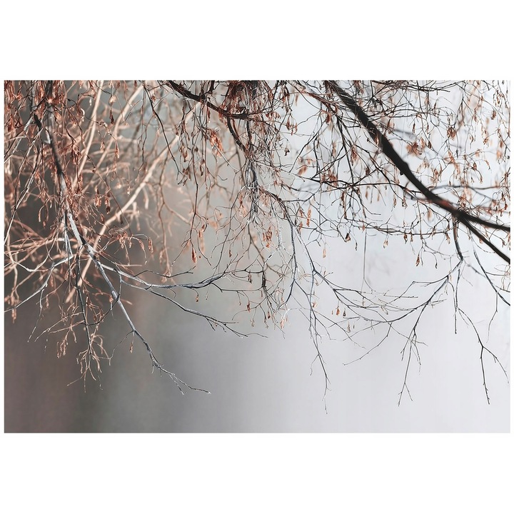 Fotótapéta, faágak, beton, modern, falra, szobába, tapéta, nappaliba, fal, dekoráció, 300x210 cm, 15741VX6