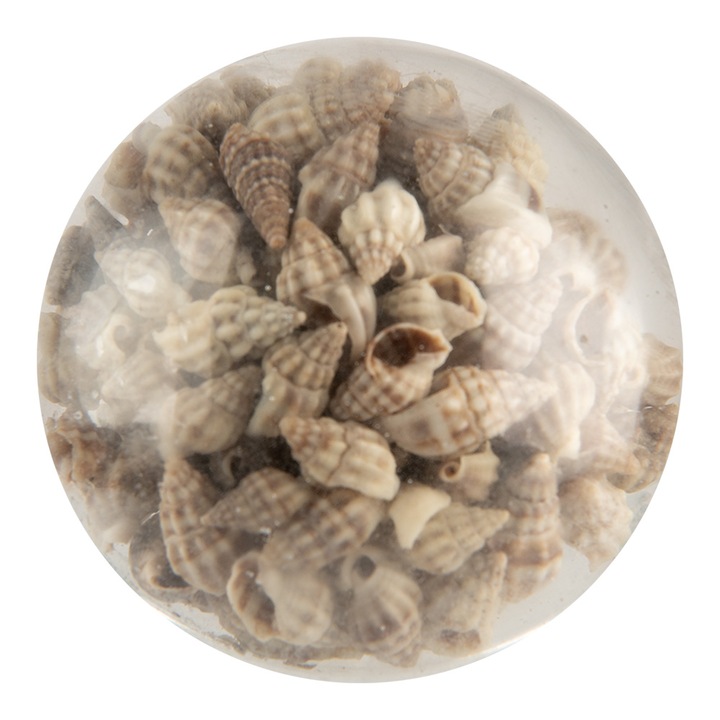 Set 2 butoni mobilier sticla bej Scoici Ø 5x4 cm / S3 cm