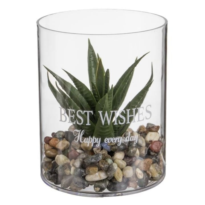 Vaza Transparenta Ø 8 × 10 cm ANTBRO® – Vas Plastic cu Planta Artificiala Verde, Ideal pentru Birou, Hol & Decor Minimalist