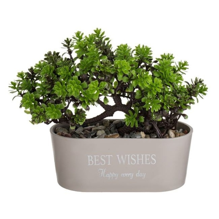 Ghiveci Bonsai Taupe 15×7×17 cm ANTBRO® – Vas Ceramic cu Planta Artificiala Bonsai & Mesaj “Best Wishes”, Ideal pentru Birou, Living sau Cadouri