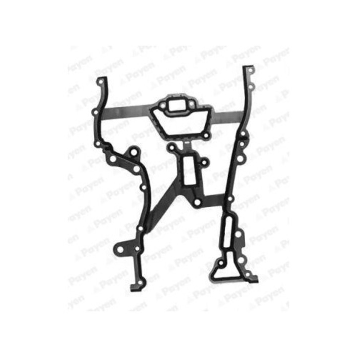 Garnitură distribuție Payen JR5030