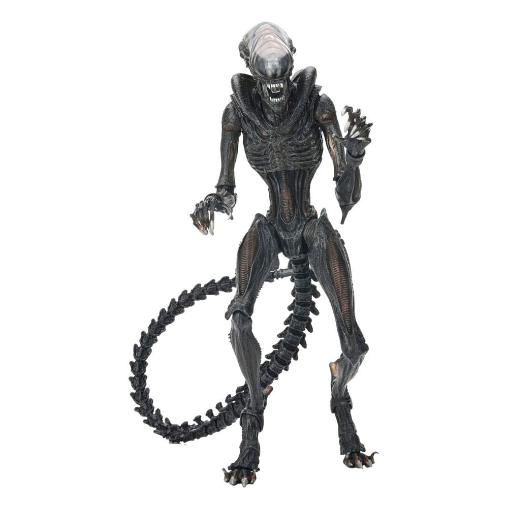 SF・ファンタジー・ホラー NECA Alien Romulus Scorched Xenomorph Figurina Alien: Romulus Ultimate Action Figure Scorched Xenomorph