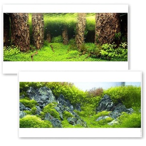 Decoruri si plante artificiale acvarii