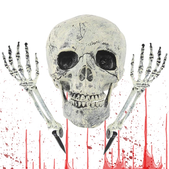Decorare Halloween, Buyya®, schelet realist, Decoratiune De Halloween, Craniu, Maini Artificiale, Set 2 maini si 1 craniu, craniu uman, detalii realiste, 18.5x13.5cm, 37x9.5cm