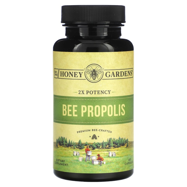 Zand, Bee Propolis, Double Strength, 800 mg, 60 capsule
