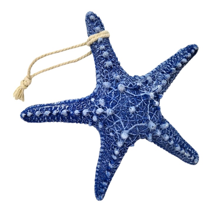Decorațiune stea de mare, rasină, 16x4cm
