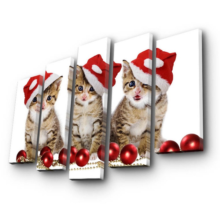 5 darabos dekoratív festménykészlet, Wallity, 100% velúr, 105x70cm, fa keretben