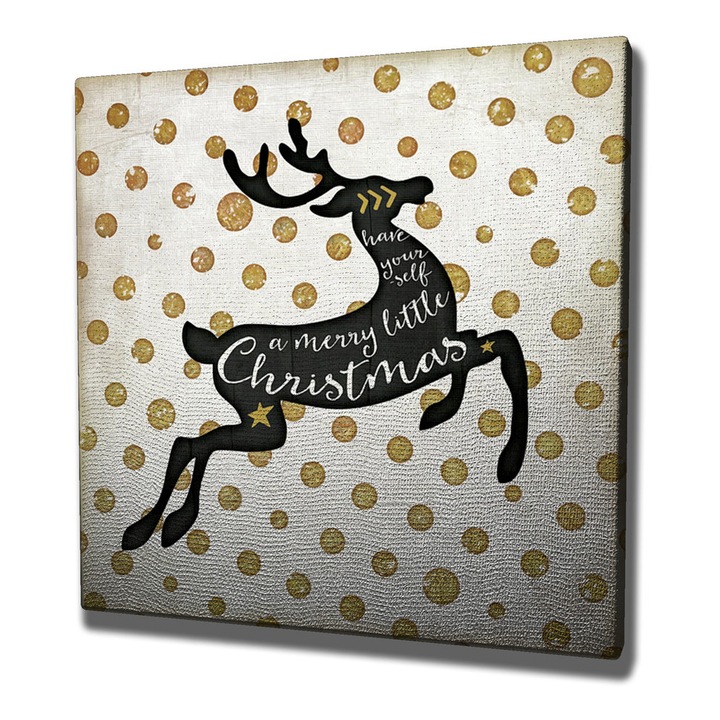 Dekoratív festmény, Wallity, 45x45cm, 100% vászon, 3cm fa keret