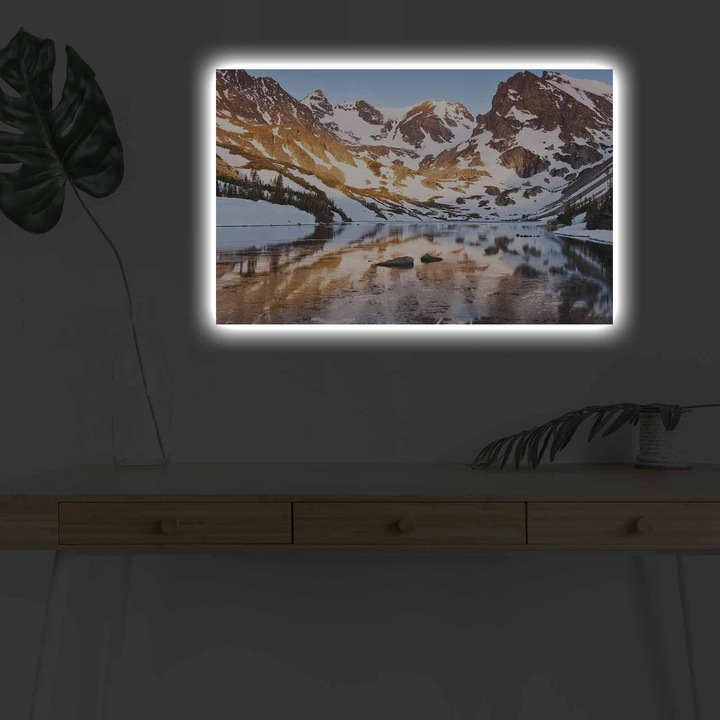 Декоративна картина с LED светлини, Коледа, многоцветна, 45x70 см, 100% велур, дървена рамка