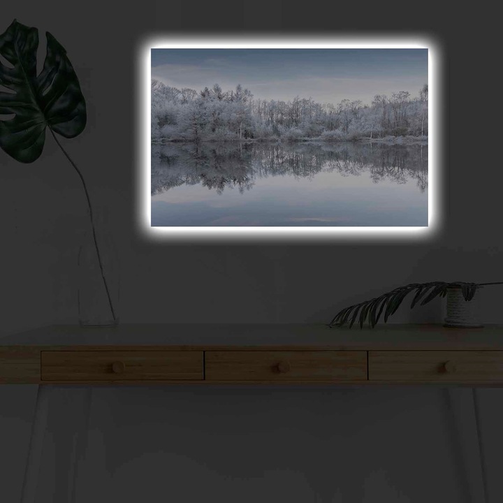 Декоративна картина с LED светлини, Коледа, многоцветна, 45x70 см, 100% велур, дървена рамка