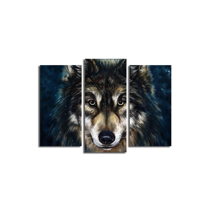 Dekoratív festmények, Wallity, 3 darabos készlet, 100% velúr, 66x45cm