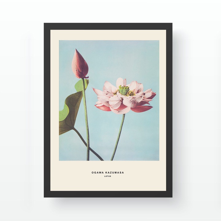 Dekoratív keretezett festmény, Wallity, 35x45cm, UV nyomat, 100% fa