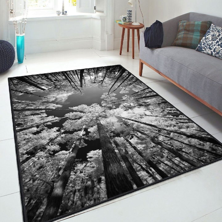 Covor, Conceptum Hypnose, 180x280cm, catifea, antibacterian, antiderapant