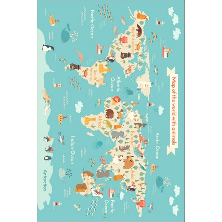 Covor Conceptum Hypnose, 140x220cm, catifea, antibacterian antiderapant