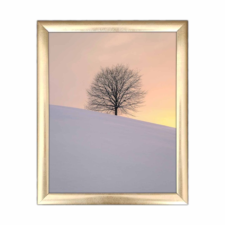 Tablou decorativ rame din MDF, Wallity, 23,5x28,5cm