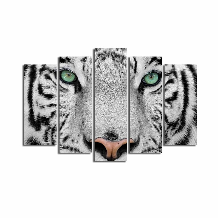 Dekoratív festmény vászonra (5 darabos készlet), Wallity, 105x70cm, 100% fa