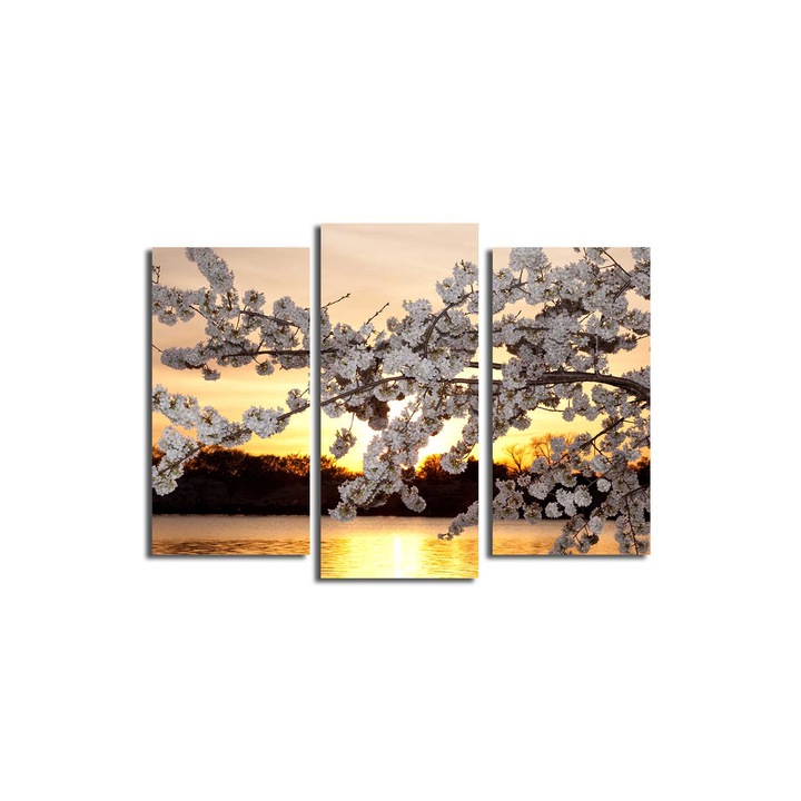 3 darabos dekoratív festménykészlet, Wallity, 20x39cm, 20x45cm, többszínű, 100% velúr, fa keretben