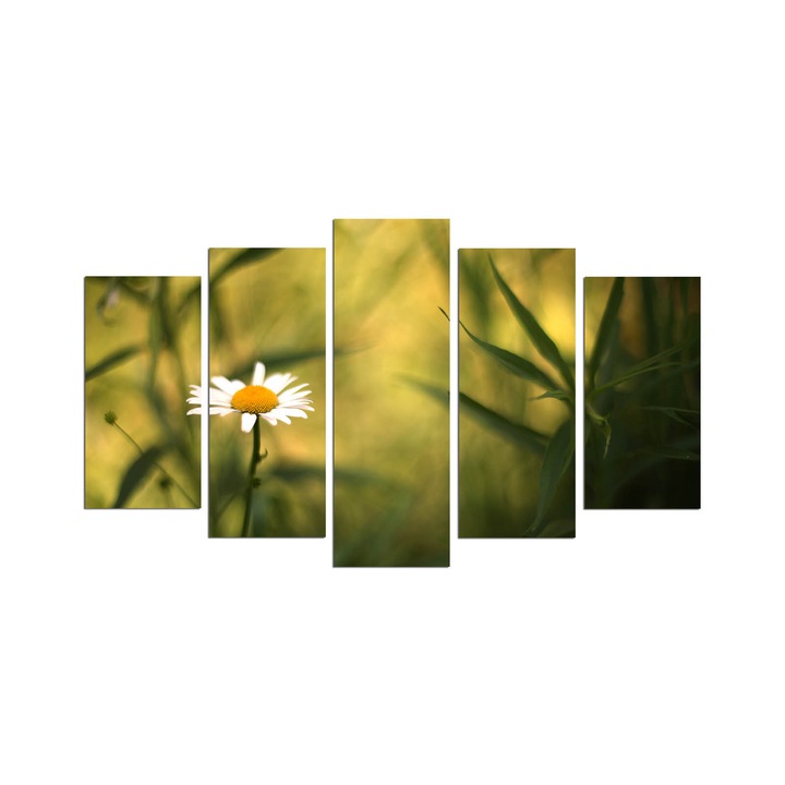 Dekoratív festmények, Wallity, 5 darabos készlet, 110x60cm, 100% mdf