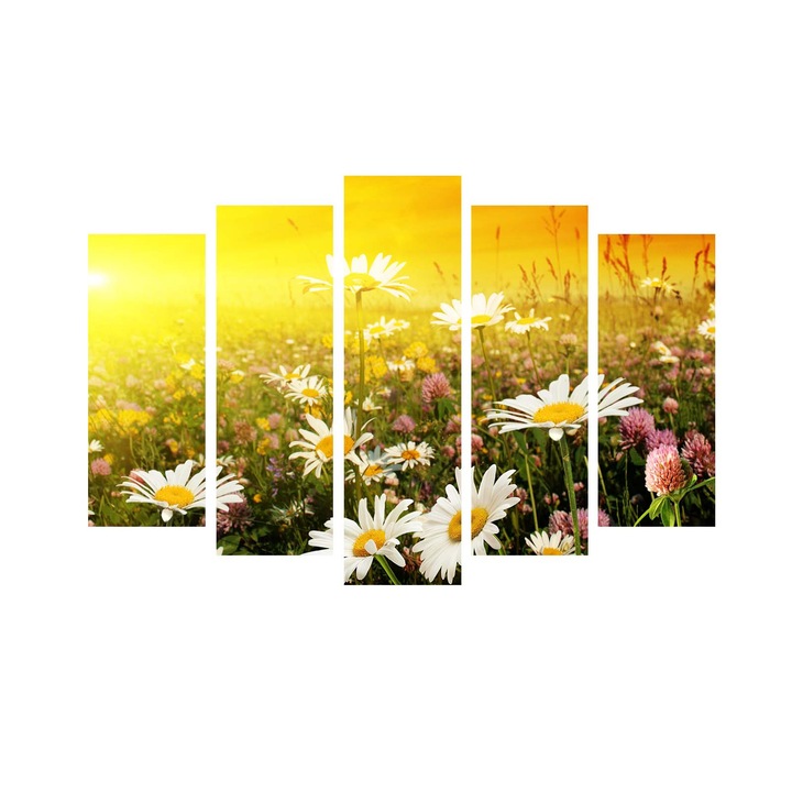 5 darabos dekoratív festménykészlet, Wallity, 105x70cm, 100% velúr, fa keretben