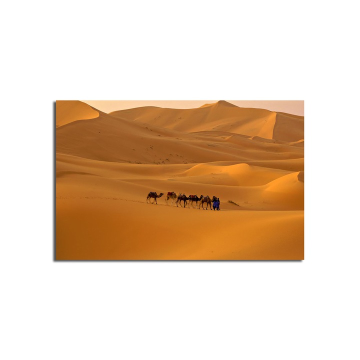 Dekoratív festmény, Wallity, 45x70cm, 100% velúr, fa keretben