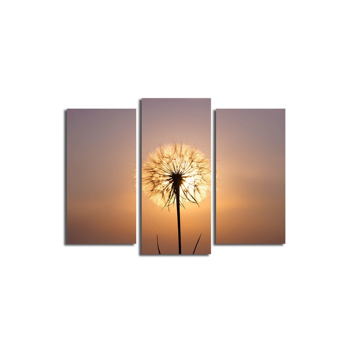 3 darabos dekoratív festménykészlet, Wallity, 66x45cm, 100% velúr, fa keretben